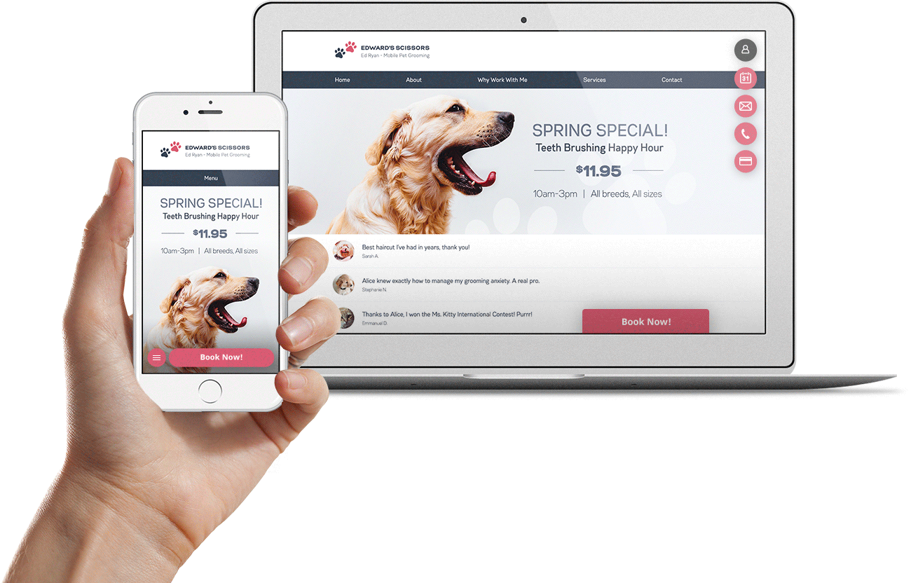 Online booking pop up by vcita