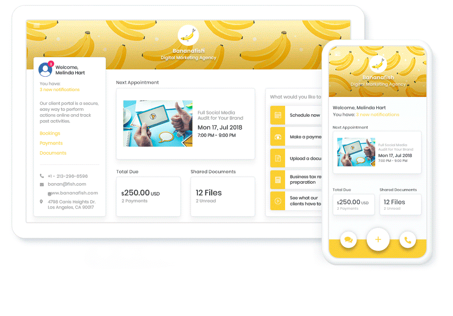 New, beautiful client portal