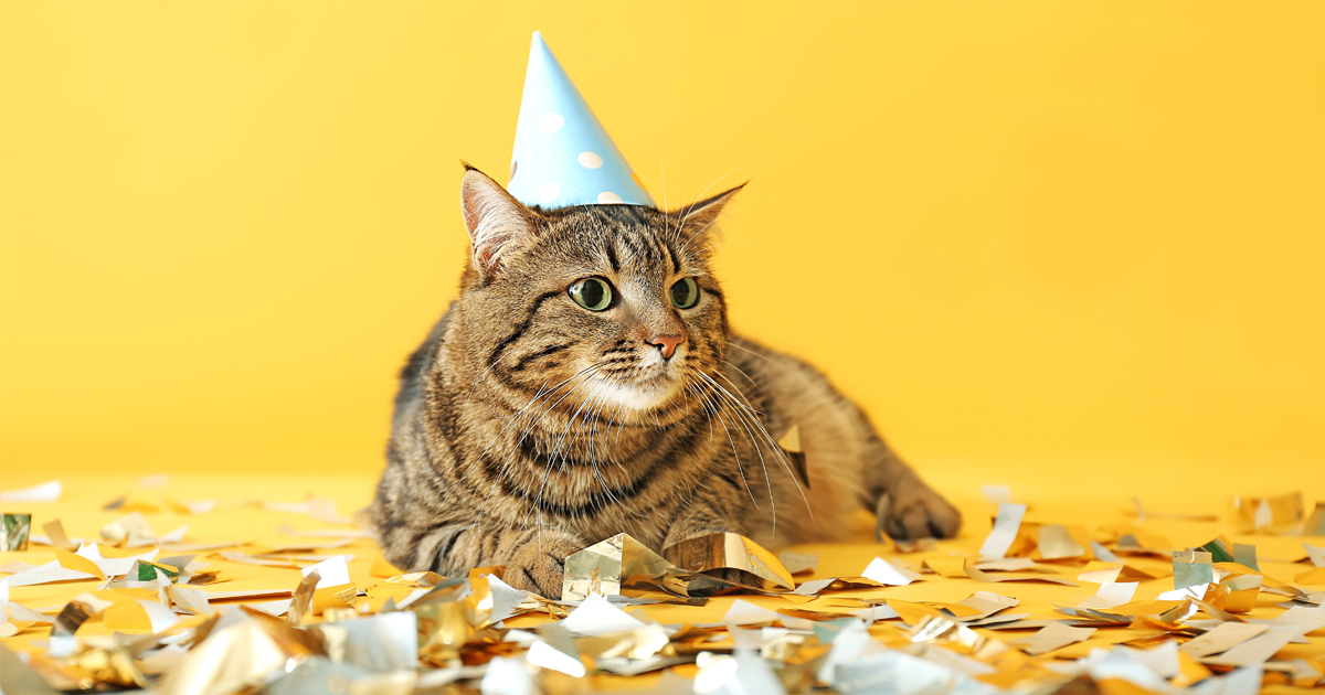 Fidelisez Vos Clients En Leur Souhaitant Joyeux Anniversaire Fidelisez Vos Clients En Leur Souhaitant Joyeux Anniversaire