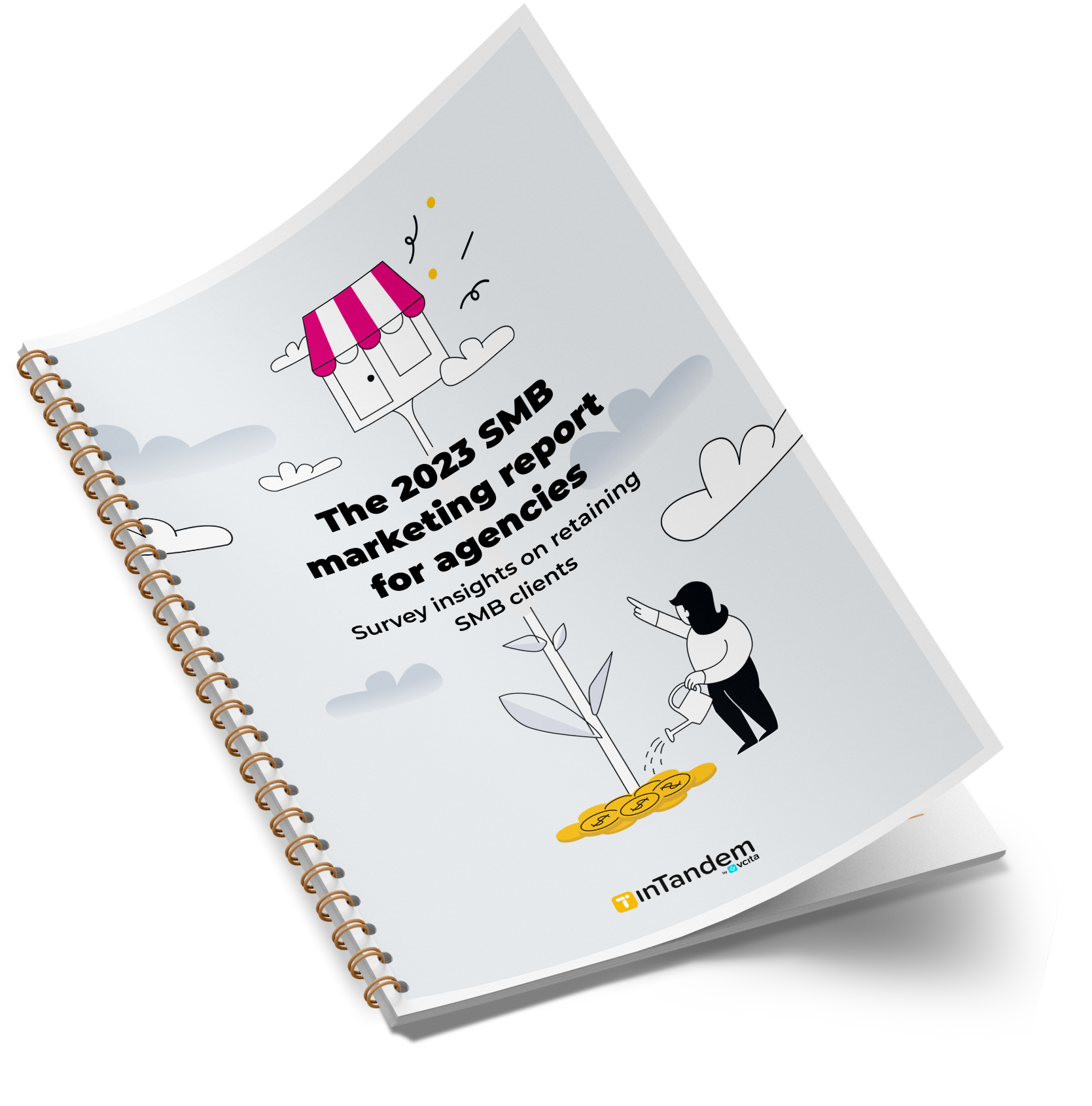 SMB Marketing report